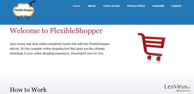 instantanea di Le pubblicità di FlexibleShopper instantanea di Le pubblicità di FlexibleShopper