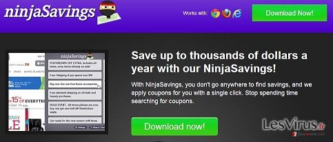 instantanea di Ninja Savings instantanea di Ninja Savings
