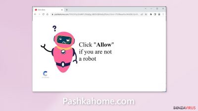 Pashkahome.com