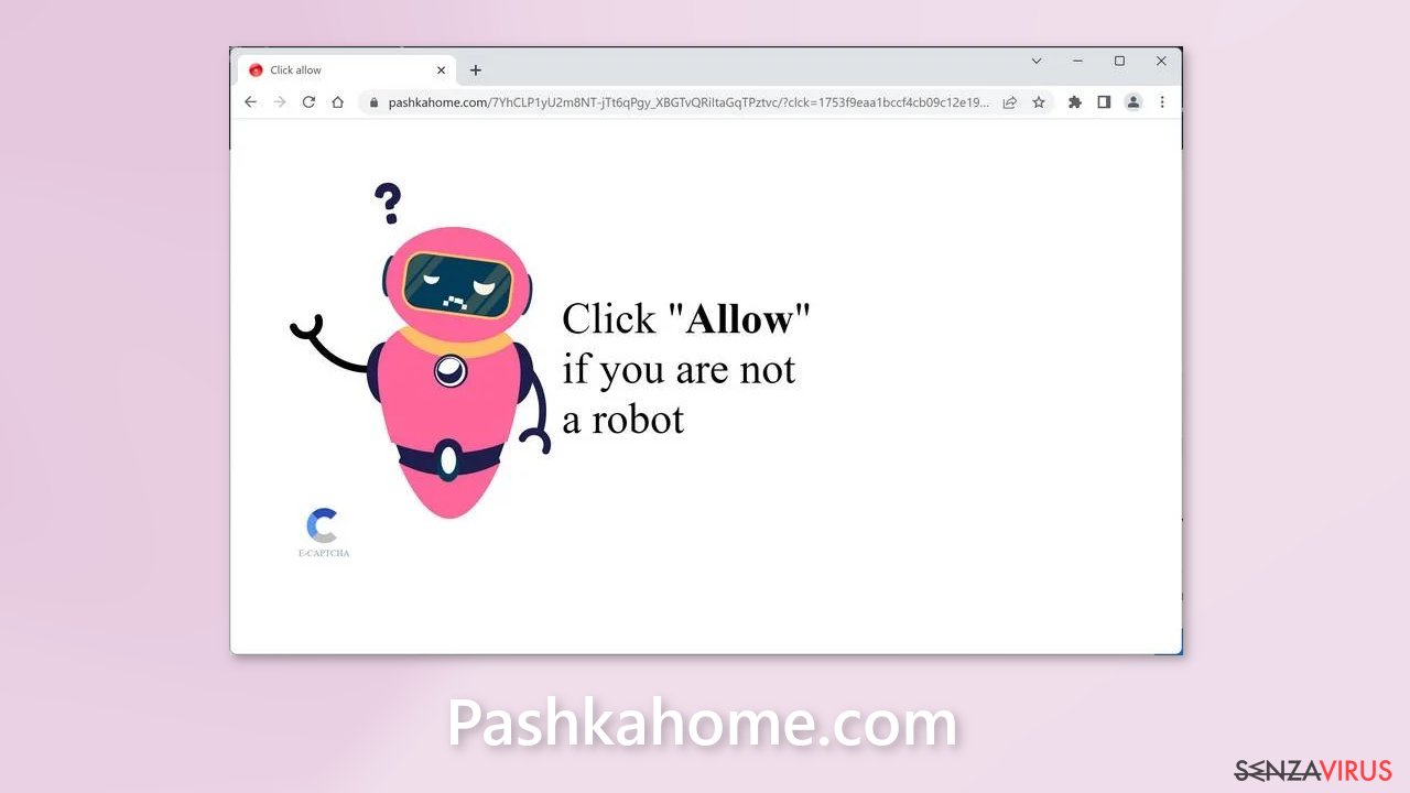 Pashkahome.com ads