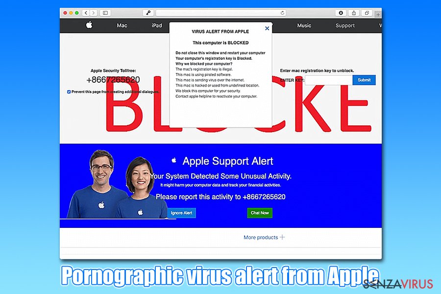 instantanea di PORNOGRAPHIC VIRUS ALERT FROM MICROSOFT instantanea di PORNOGRAPHIC VIRUS ALERT FROM MICROSOFT