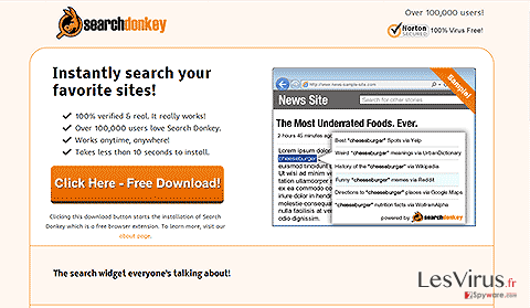 instantanea di Search Donkey instantanea di Search Donkey
