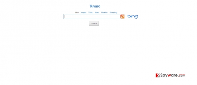 instantanea di SearchNet instantanea di SearchNet