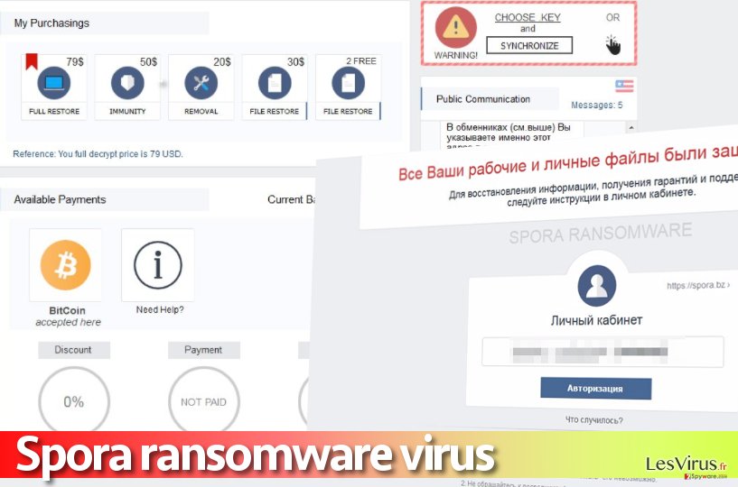 Un'immagine del sito su cui si effettua il pagamento al virus Spora