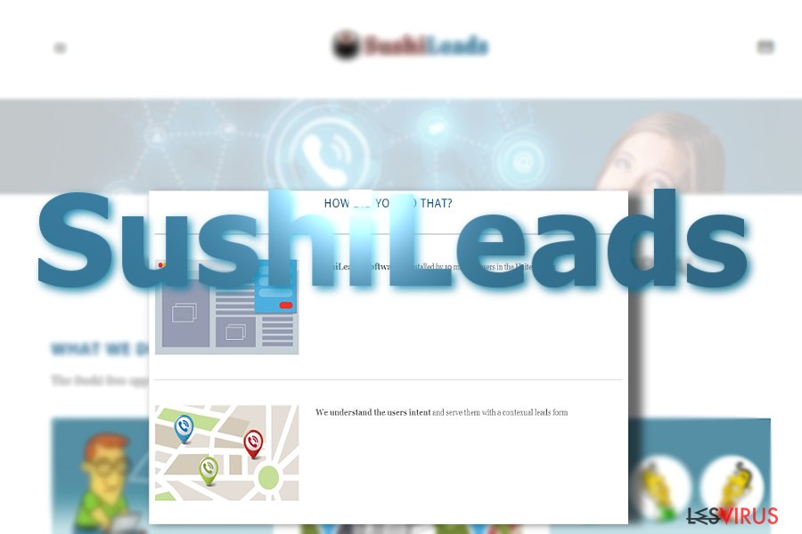 instantanea di Gli annunci pubblicitari di SushiLeads instantanea di Gli annunci pubblicitari di SushiLeads