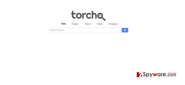 instantanea di Il virus Torcho Web instantanea di Il virus Torcho Web