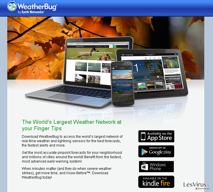 instantanea di Annunci di Bug Weather instantanea di Annunci di Bug Weather