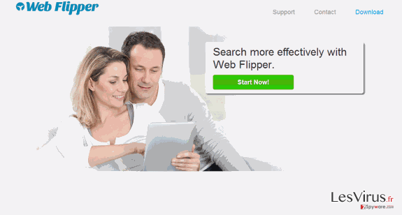 instantanea di Le pubblicità Web Flipper instantanea di Le pubblicità Web Flipper
